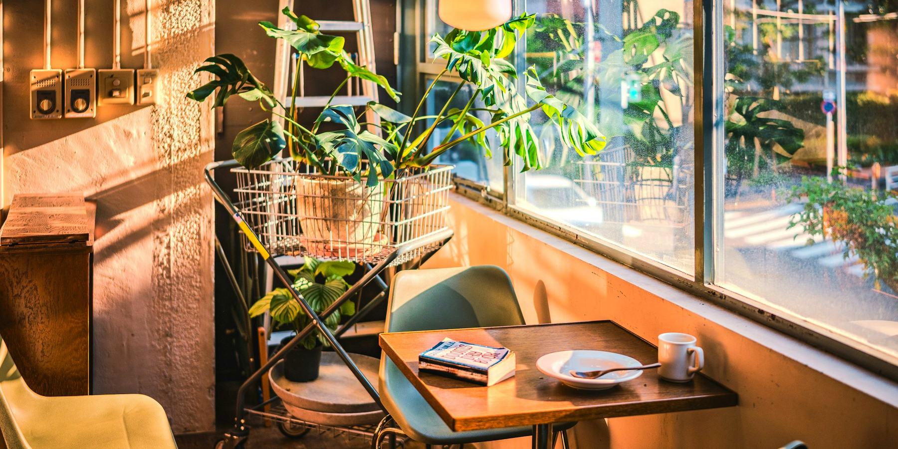 A table by a cafe window on a winter afternoon: a mug, a folded magazine and a spill of plants